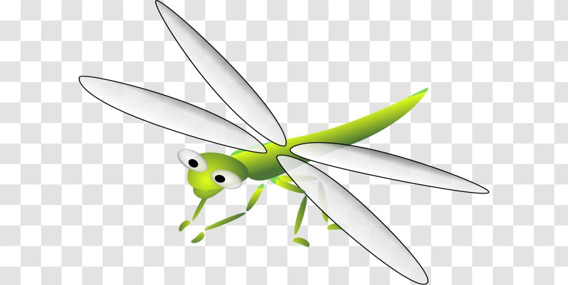 Dragonfly Insect Cartoon Skimmers Clip Art Transparent PNG