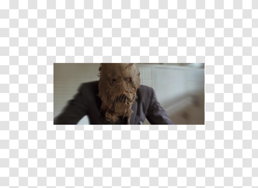 Scarecrow Snout Fur Cillian Murphy - Joker Batgirl Transparent PNG
