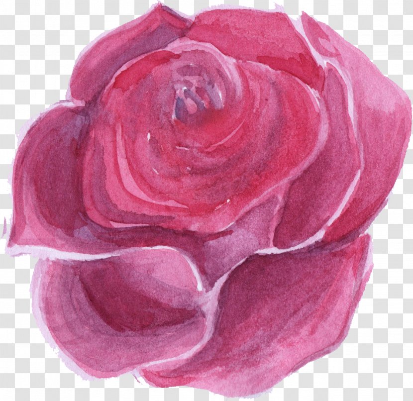 Flower Rose Watercolor Painting Transparent PNG