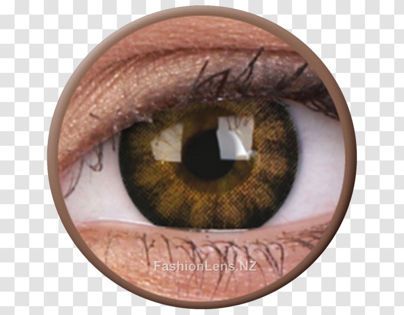 Contact Lenses Circle Lens Eye Color - Watercolor Transparent PNG