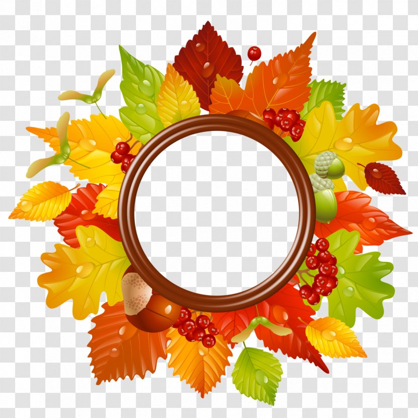 Autumn - Maple Leaf Transparent PNG