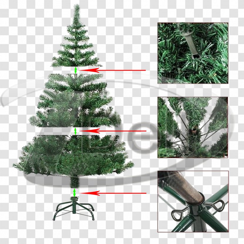 Christmas Tree Fir Spruce Pine Transparent PNG