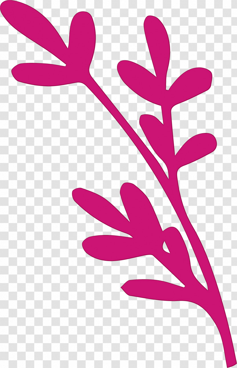 Plant Stem Branch Leaf Petal Pink M Transparent PNG