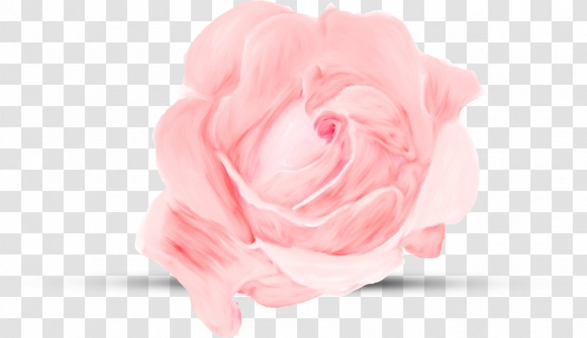 Garden Roses Cabbage Rose Petal Cut Flowers Pink M - Hansel And Gretel Gingerbread House Transparent PNG