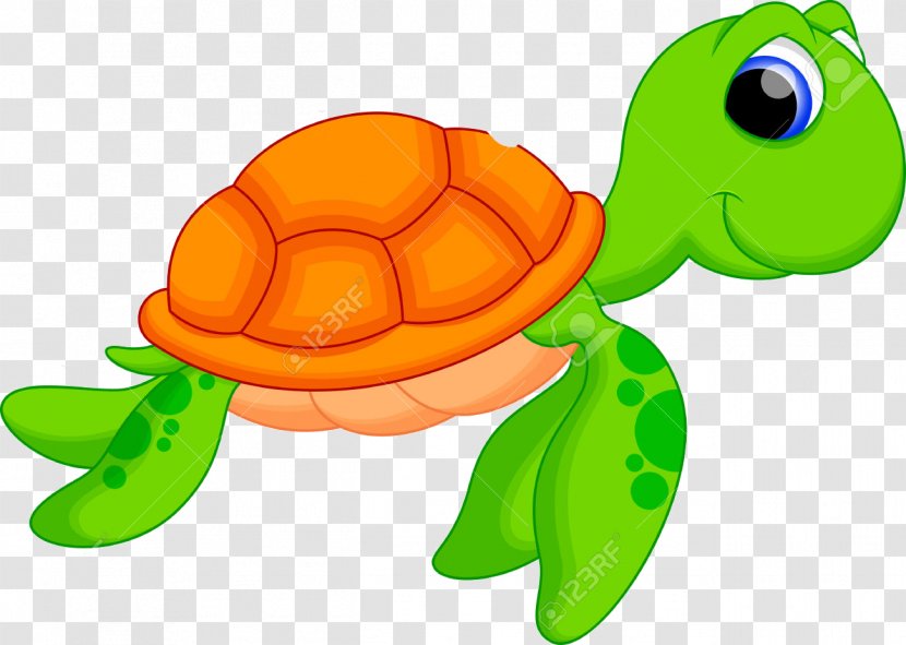 Turtle Drawing Cartoon Transparent PNG
