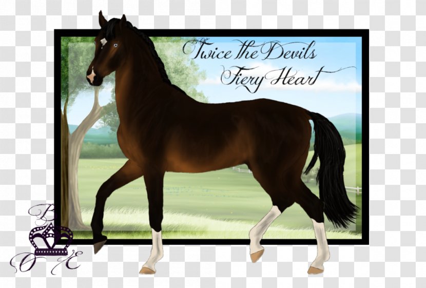 Mare Mustang Stallion Colt Foal Transparent PNG