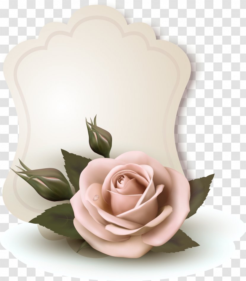 Flower Illustration - Royaltyfree - Rose Card Design Transparent PNG