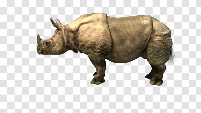 Animal Cartoon - Western Black Rhinoceros - Figurine Statue Transparent PNG