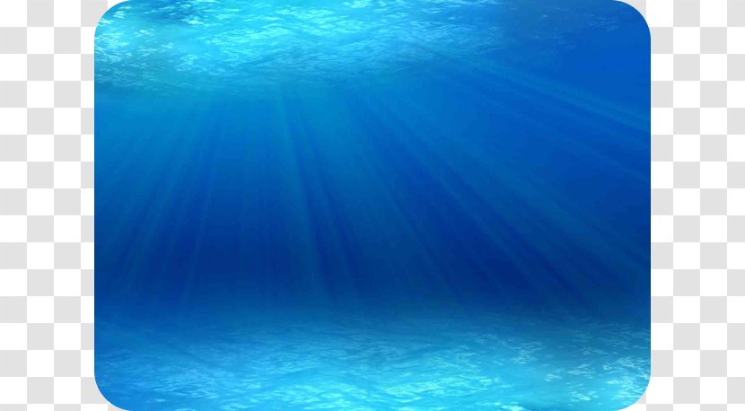Ocean Marine Mammal Biology Underwater Animal - Blue - Under The Sea Background Transparent PNG