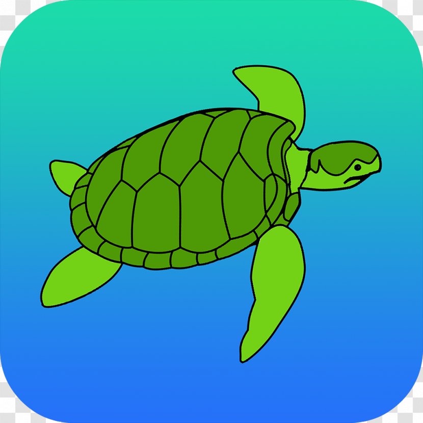 Loggerhead Sea Turtle Tortoise Clip Art Transparent PNG