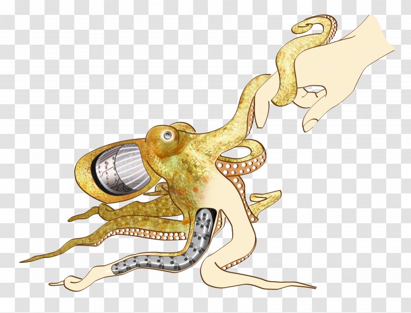 Octopus Soft Robotics Cephalopod - Robotic Arm - Octapus Transparent PNG