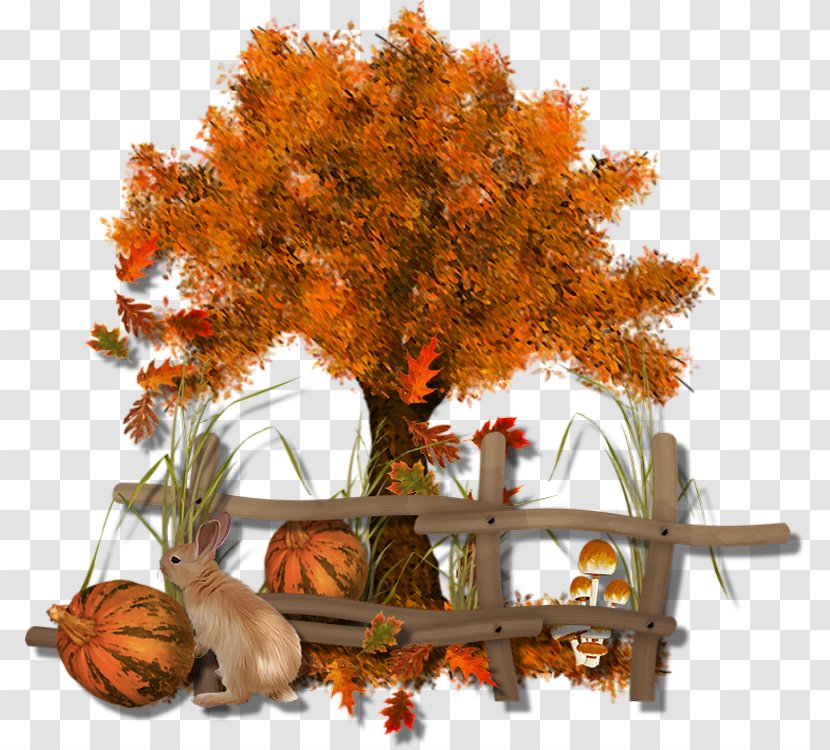 Autumn Leaf Color Tree Clip Art Transparent PNG