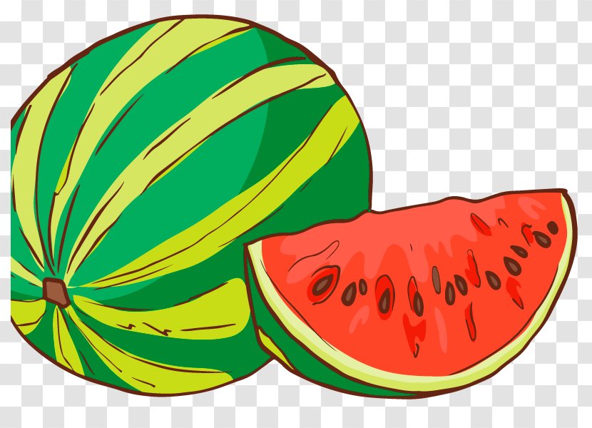 Watermelon Clip Art Vector Graphics Design Dribbble - Muskmelon - Wassermelone Pattern Transparent PNG