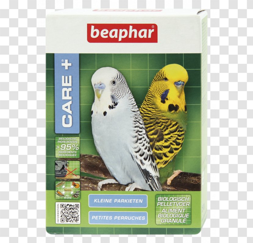 Parrot Budgerigar Lovebird Cockatiel - Pet Transparent PNG