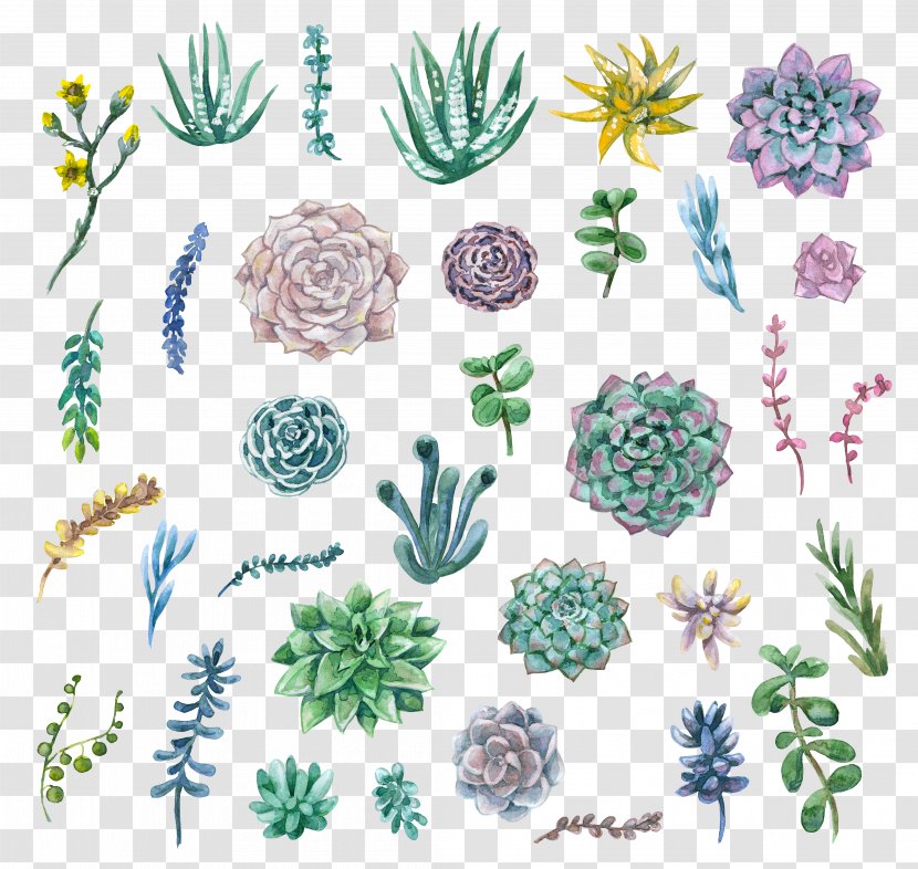 Watercolor Painting Succulent Plant Clip Art - Plants Transparent PNG