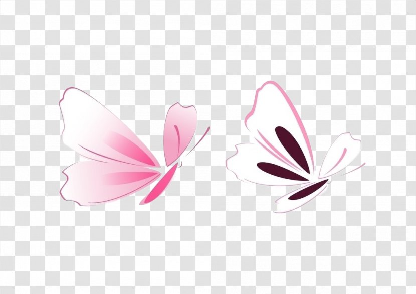 Butterfly - Logo - Pattern Color Transparent PNG