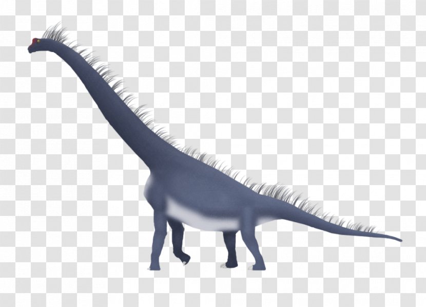 Velociraptor Brachiosaurus Giraffatitan Dromaeosaurus Carnotaurus - Mamenchisaurus - Feather Transparent PNG