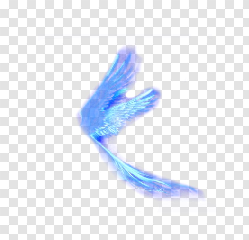 Feather Wing Designer - Electric Blue - Related Wings Transparent PNG