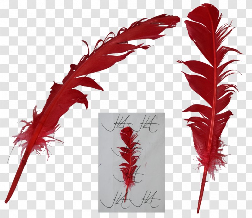 Quill Feather Paper Fountain Pen - Pollen - Quills Transparent PNG