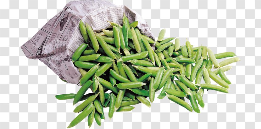 Green Bean Common Lima Crop Yield - Plant Transparent PNG