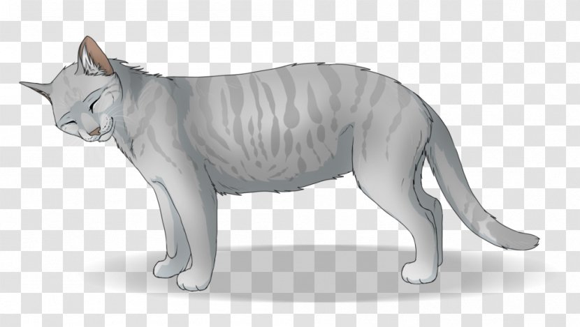 Kitten Whiskers Domestic Short-haired Cat Drawing - Puma Transparent PNG