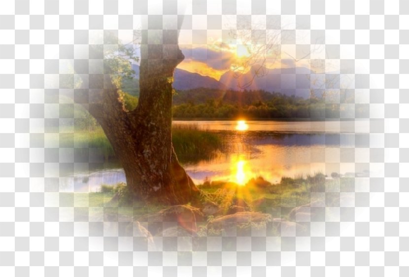 Blog Sunset Tree - Sunrise On The Lake Transparent PNG