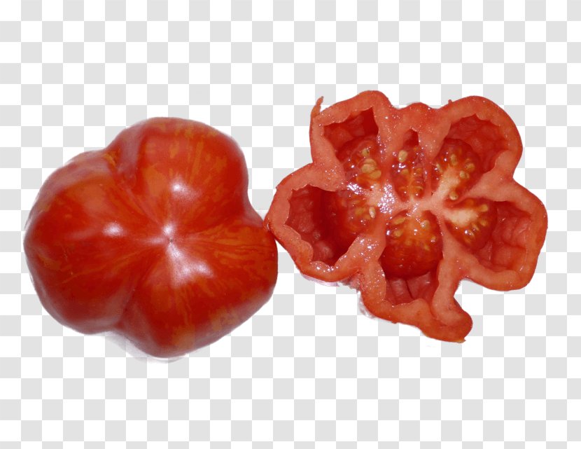 Plum Tomato Capsicum Accessory Fruit Paprika Transparent PNG
