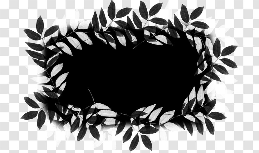Leaf White Tree Font - Plant Transparent PNG