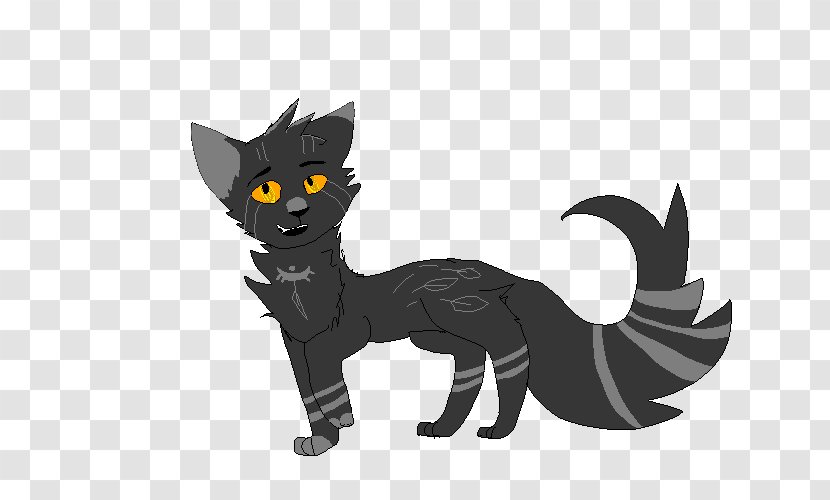 Black Cat Kitten Whiskers Horse - Paw Transparent PNG