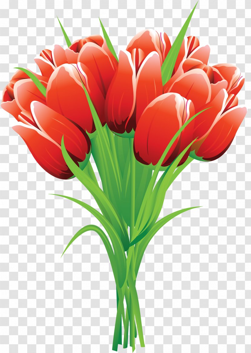 Flower Bouquet Tulip Clip Art - Plant Transparent PNG