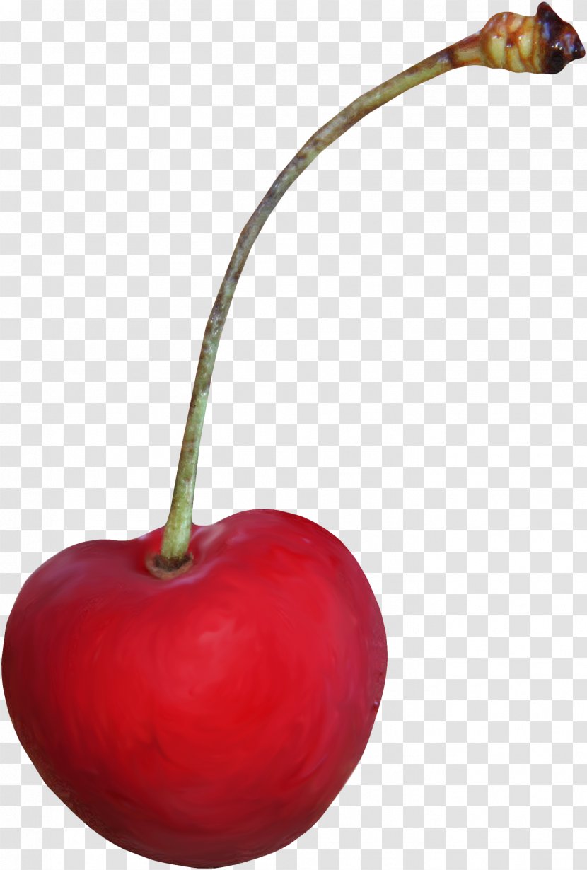 Maraschino Cherry Clip Art - Free Download Transparent PNG