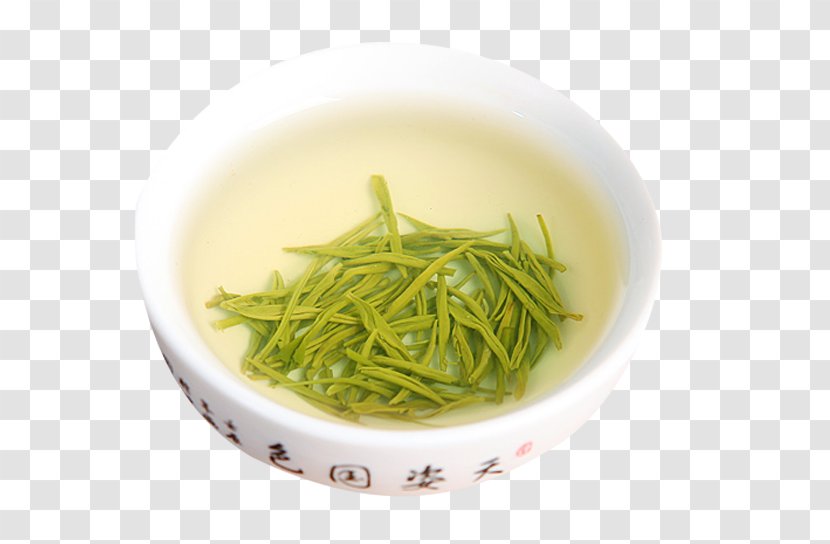 Xinyang Maojian Tea Sencha Green Bubble - Namul - Camellia Transparent PNG