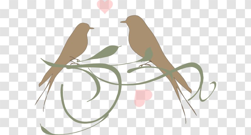 Lovebird Owl Clip Art - Leaf - Birds-wedding Transparent PNG