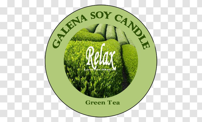Green Tea Candle Logo Transparent PNG