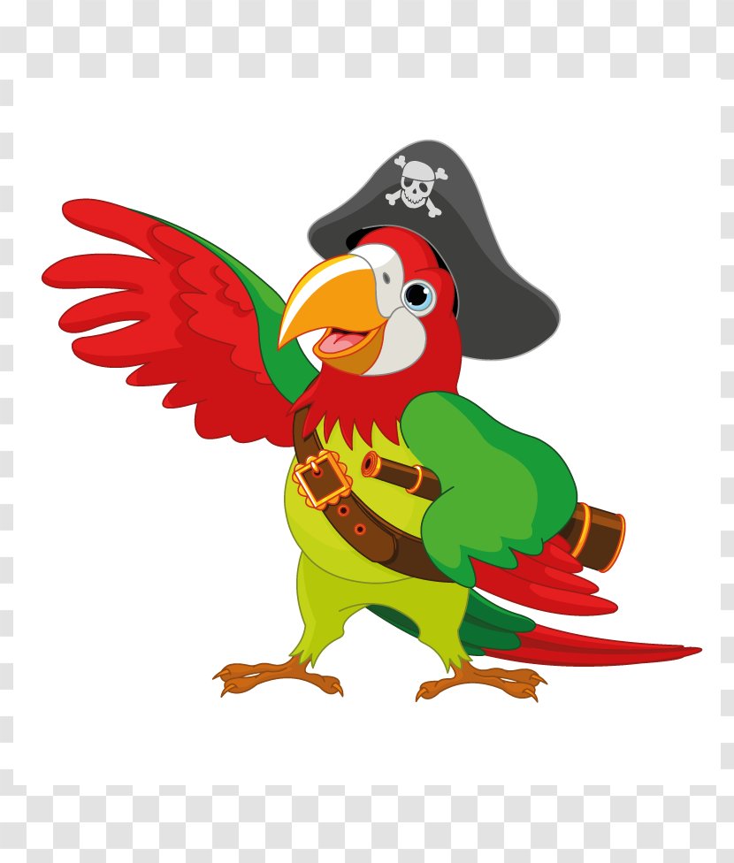 Pirate Parrot Clip Art - Drawing Transparent PNG
