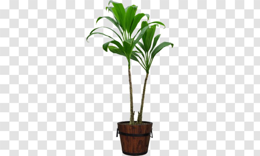Houseplant Flowerpot Clip Art - Terrestrial Plant Transparent PNG
