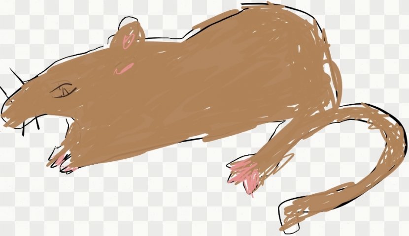 Brown Rat Mouse Black Gerbil Clip Art - Whiskers - Cartoon Pictures Transparent PNG