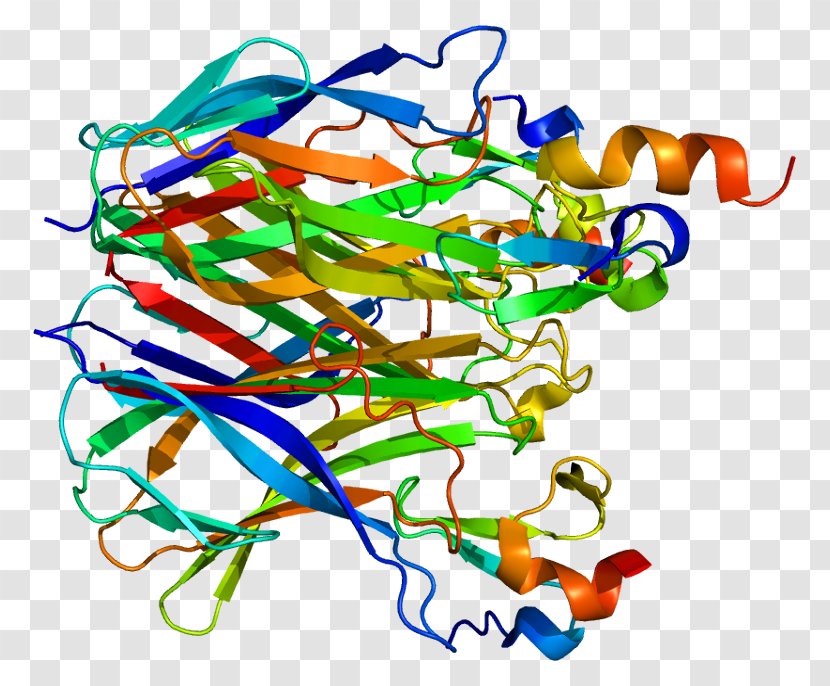 Transmembrane Activator And CAML Interactor TNF Receptor Superfamily Tumor Necrosis Factor Alpha Protein - Bcell Activating - Syndrome Transparent PNG