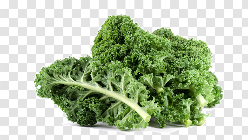 Leaf Vegetable Vegetable Food Plant Broccoli Transparent PNG