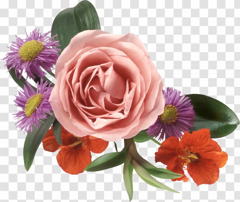 International Women's Year 8 March Day Mother Holiday - Cut Flowers Transparent PNG