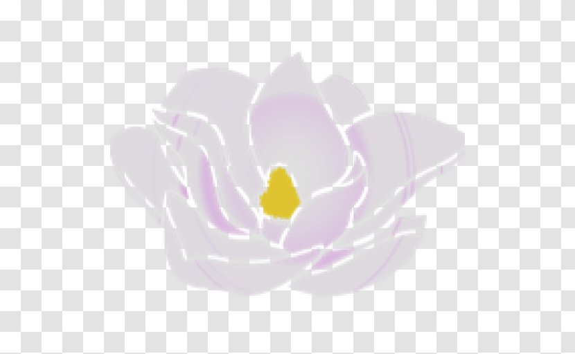 Violet Lilac Purple Magenta Flower - Magnolia Transparent PNG