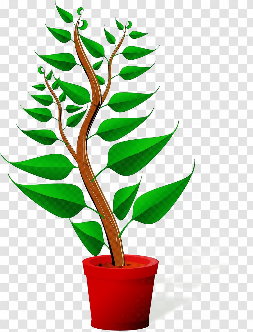 Flowerpot Plant Flower Leaf Houseplant - Tree Flowering Transparent PNG