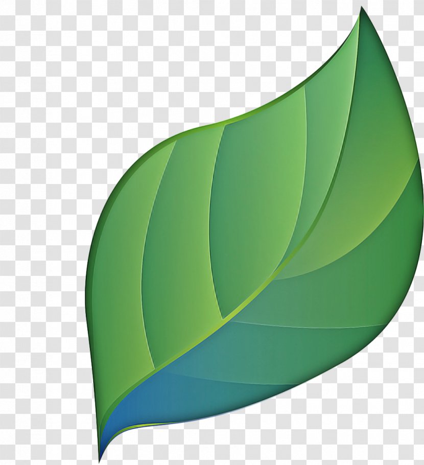 Green Leaf Logo - Plant Transparent PNG