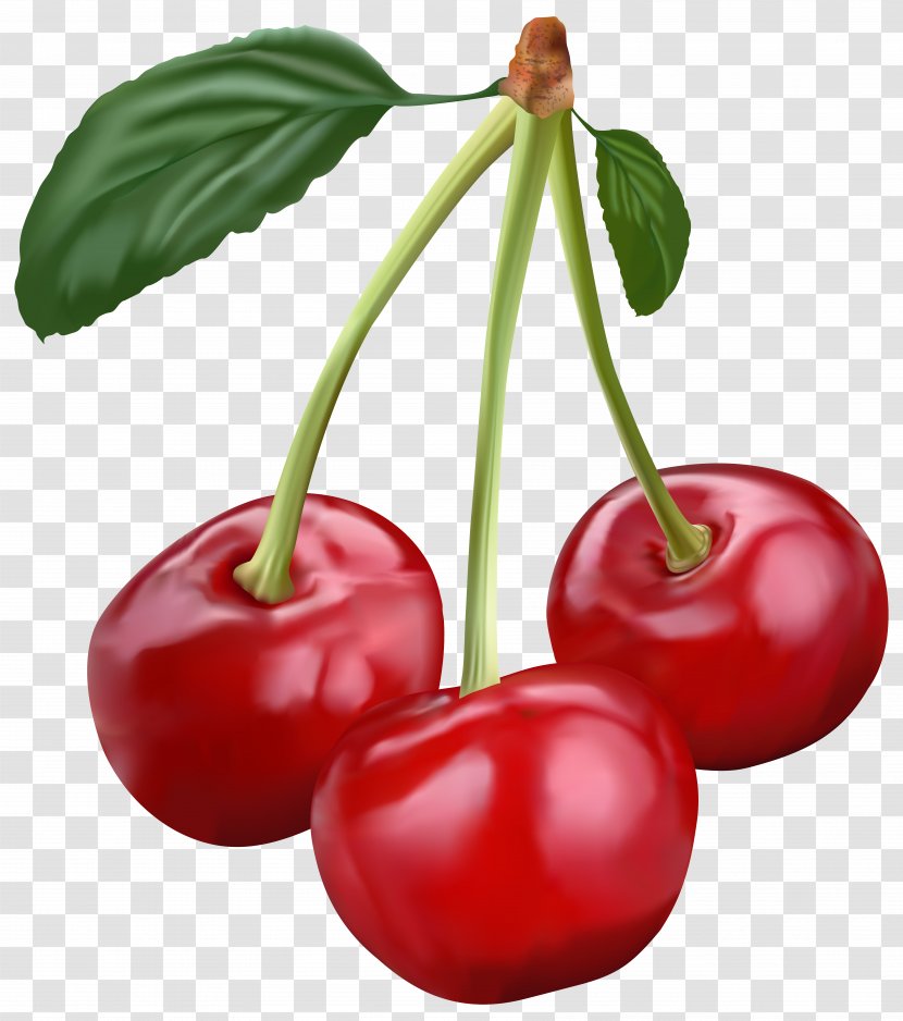 Cherry Pie Fruit Clip Art Transparent PNG