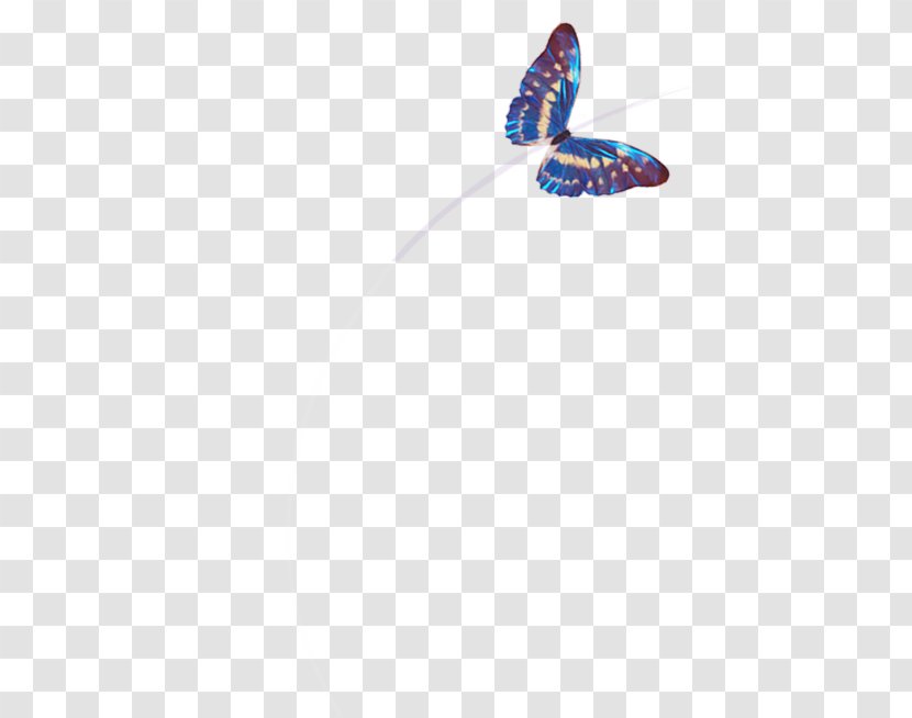 Butterfly Dating Single Person YouTube Russia - Vietnam Transparent PNG