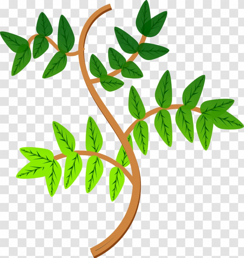 Branch Leaf Tree Clip Art - Flowering Plant - Green Leaves Transparent PNG