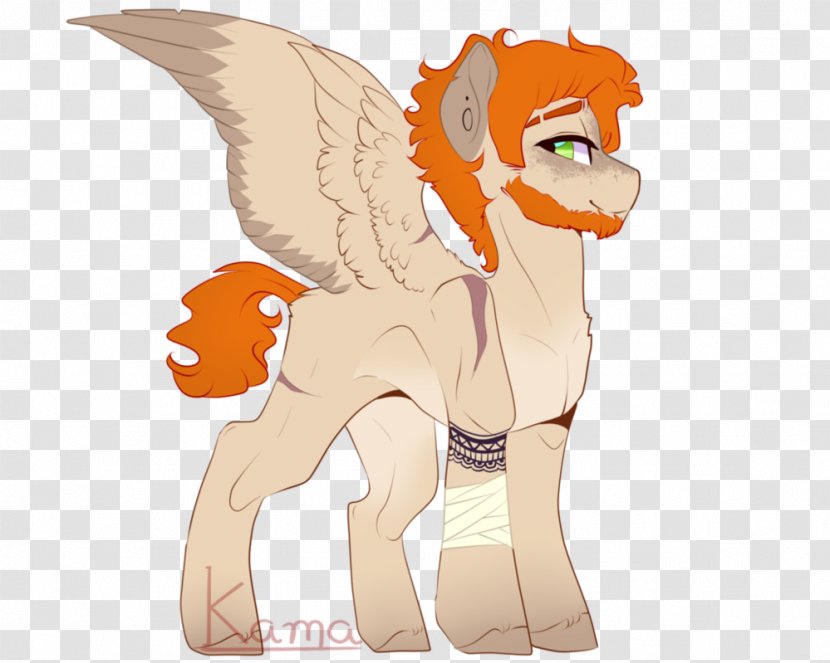 Horse Pony Cat - Frame Transparent PNG