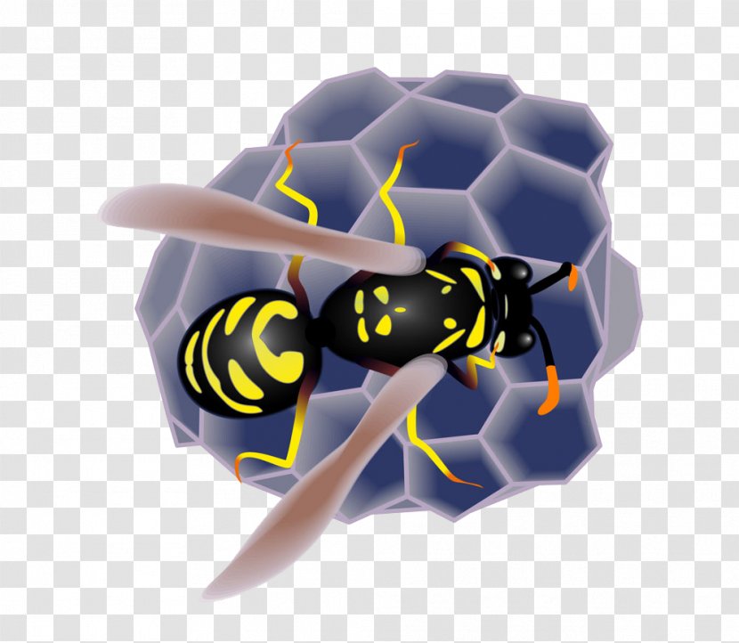 Honey Bee Insect Honeycomb - Invertebrate - And Nest Transparent PNG