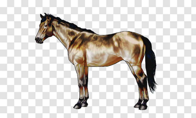 Horse Animal Figure Sorrel Mare Stallion Transparent PNG