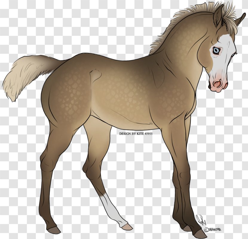 Foal Mustang Mare Stallion Rein - Horse - Bermuda Kite Transparent PNG